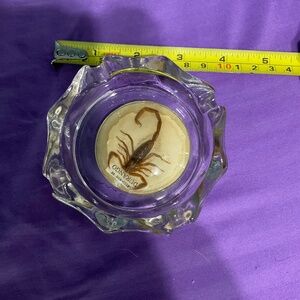 4” scorpion ashtray. H138